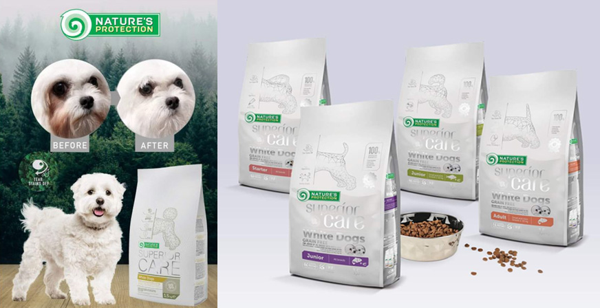 Superior Care White Dogs